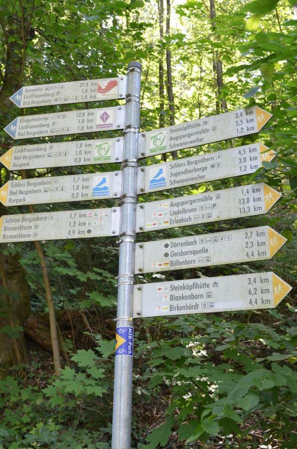 Ferienwohnung Berger Kurparkresidenz Bad Bergzabern Kültér fotó